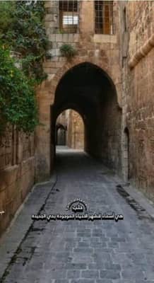 للبيع دار عربي مشروع سياحي استثماري فندق أومطعم أومقر شركة - محافظة حلب