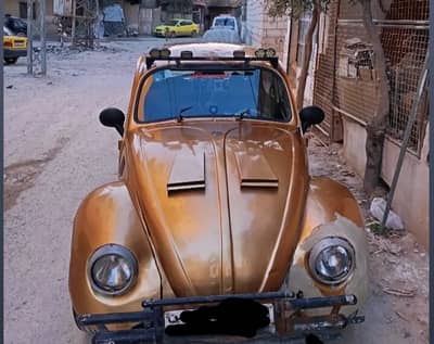 زلحفة للبيع  - محافظة دمشق